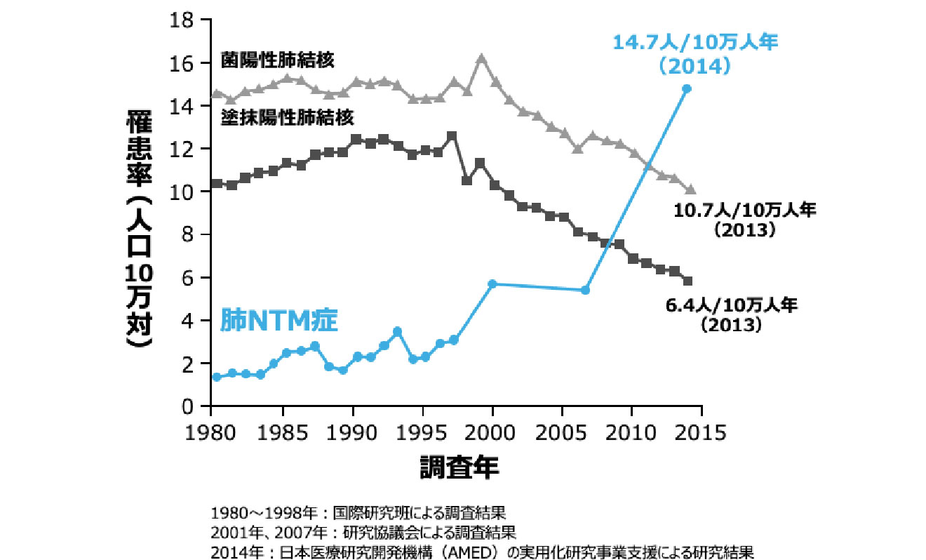 肺NTM症罹患率の年次推移（1980〜2014年）